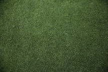 fairway grass from a golf course. 