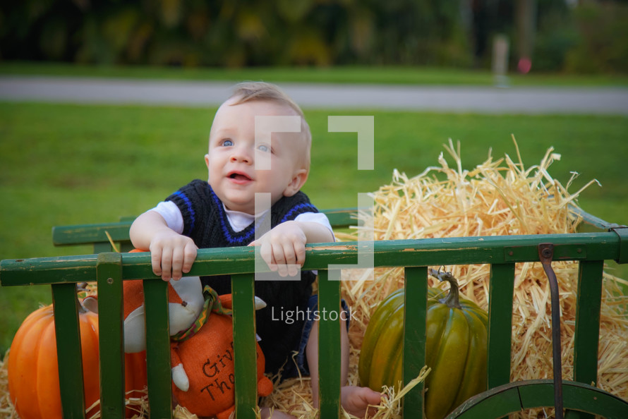toddler boy in a wagon with pumpkins and hay