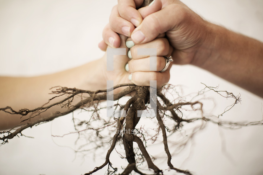 man and woman holding onto roots 