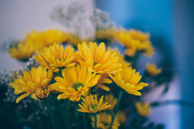 Bouquet of yellow daisies.
