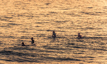 surfers waiting for a wave 