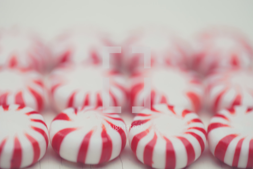 Close-up of peppermint candies line up in a row.