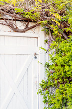 padlock, white door, doorway vintage, farm, entrance, 