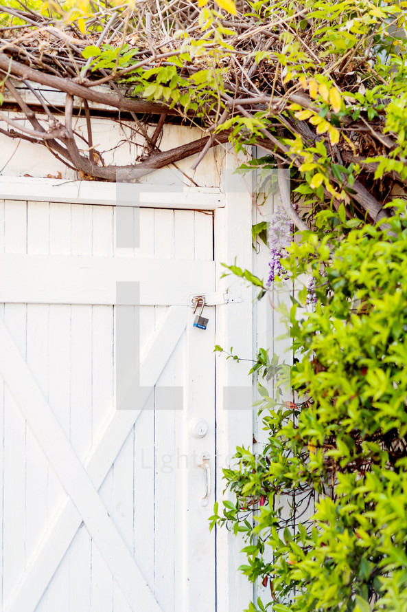 padlock, white door, doorway vintage, farm, entrance, 