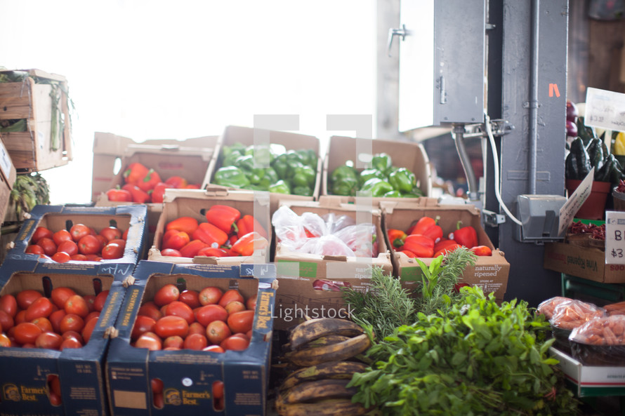 tomatoes and green peppers in boxes at a farmers market 