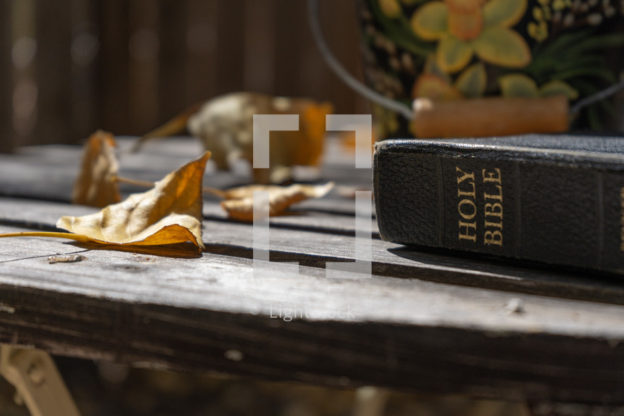 The Bible on a rustic table with Autumn leaves