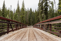 pedestrian bridge leading to a forest 