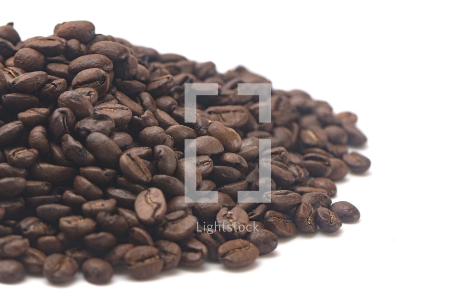 coffee beans on white background 