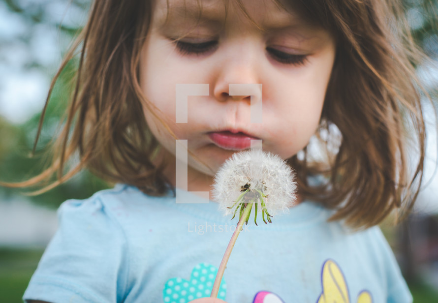 a child blowing a dandelion 
