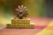 Give thanks and turkey decoration