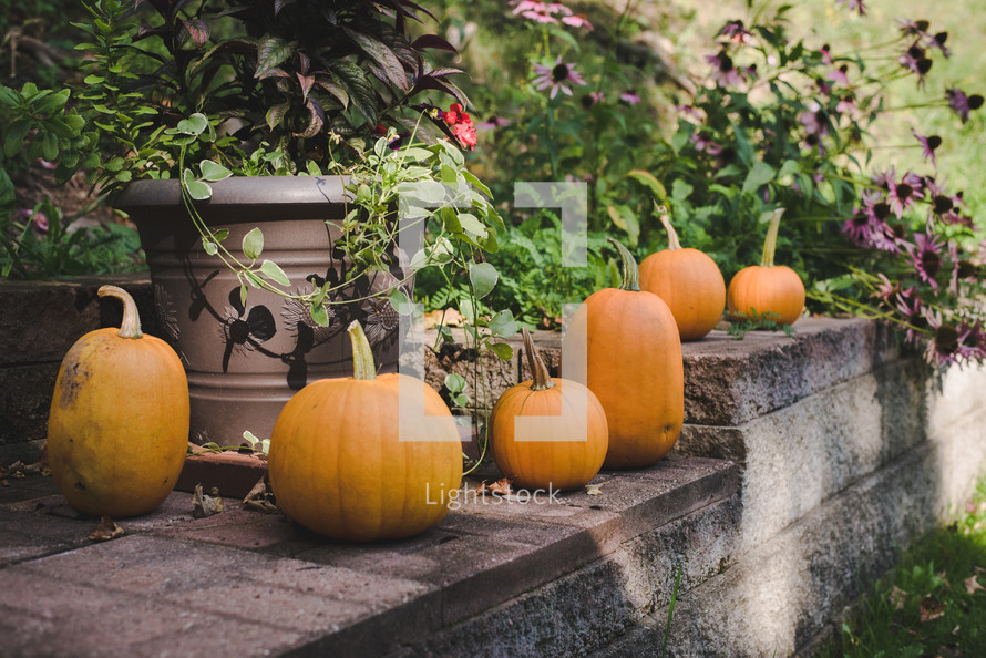 pumpkins on a patio 