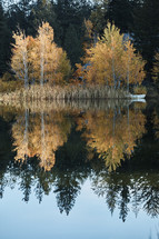 fall foliage reflecting on pond water 