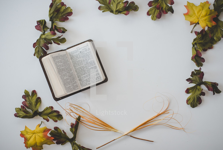 Bible and fig leaves 