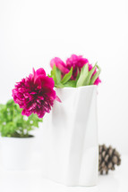 fuchsia flowers in a vase 