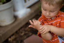 a toddler boy with a ladybug on his hand 