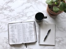 house plant, open Bible, pen, notebook, and coffee cup on a marble countertop 
