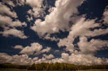 white clouds over trees in a forest 