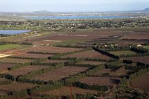 Israeli farmland - agriculture 