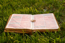 wedding rings on pages of a Bible in the grass