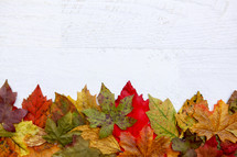 Autumn Thanksgiving Leaves Background