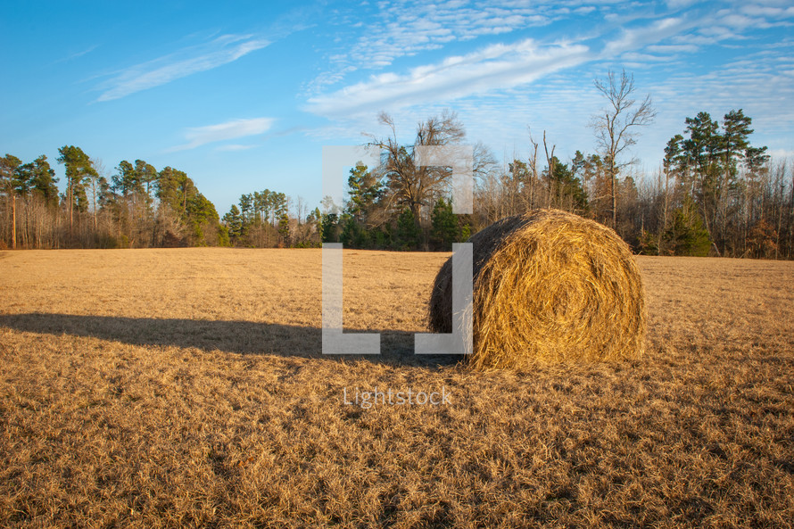 hay bale in a plowed field 