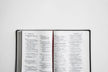 pages of an open Bible 