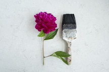 paint brush and fuchsia flower 