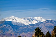 view of Snow capped mountains from the Las Vegas Valley and the contrast of palm trees 