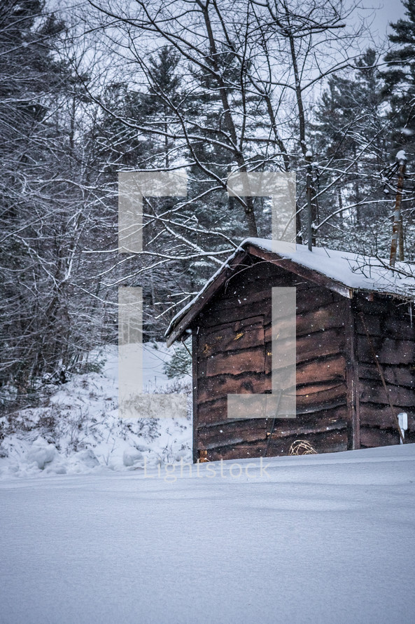 snow on a cabin 