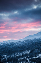 pink sky over a winter mountain forest 