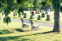 empty bench in front of a cemetery 