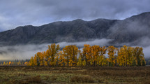 low hanging clouds over a forest in a valley 