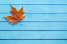 orange fall leaf on a blue wood background 