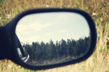 Trees in a rear view mirror.
