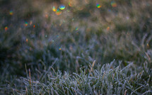 Rainbow bokeh over frosted grass on a cold winter's morning