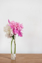 pink and white flowers on a white background 