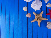 Various kinds of sea shells frame on blue vintage shabby wood table. Summertime sea vacation background with starfish