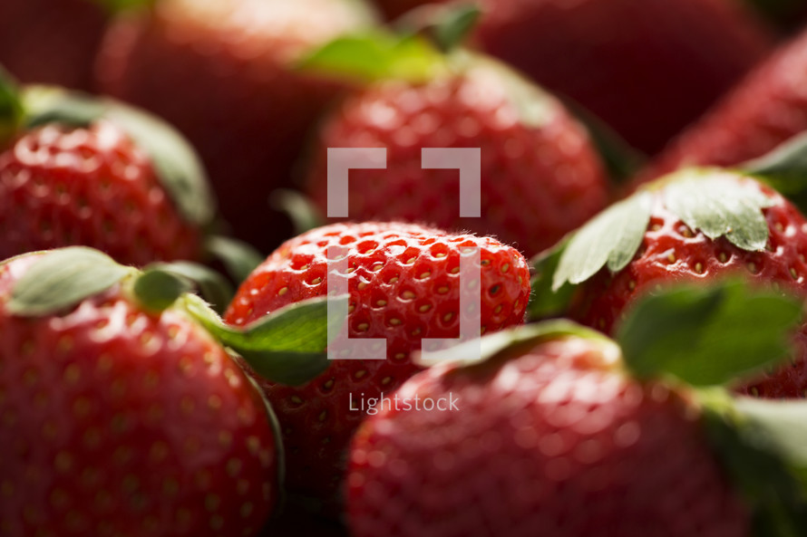 Closeup of ripe, red strawberries. 