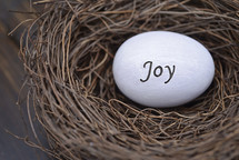 the word joy on an Easter egg in a bird's nest 