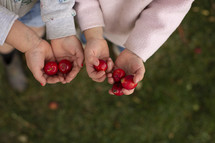 kids holding tiny apples 