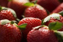 Closeup of ripe, red strawberries. 