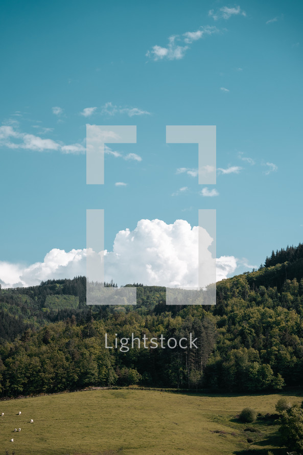 Rural landscape, hills and woodland, forest mountains in France