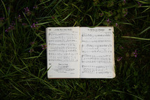 hymnal in grass