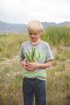 boy child holding an aloe plant outdoors 