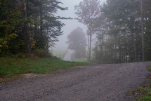 fog over a dirt road 