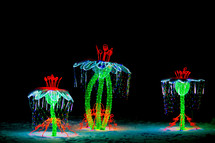 dancing flowers festival with lights 