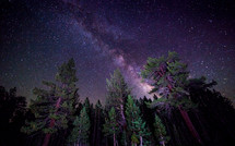 milky way and stars in the night sky above trees
