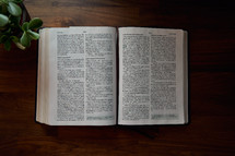 opened Bible on a wood table 