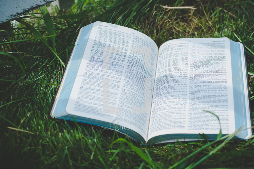 pages of an open Bible in the grass
