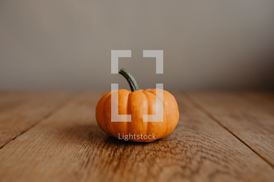 one little pumpkin on table